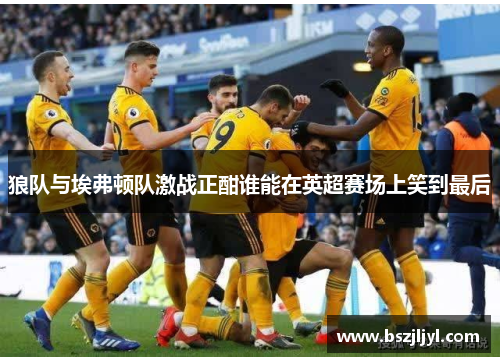狼队与埃弗顿队激战正酣谁能在英超赛场上笑到最后