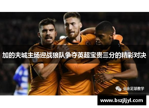 加的夫城主场迎战狼队争夺英超宝贵三分的精彩对决